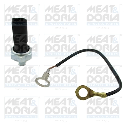 Oil Pressure Switch